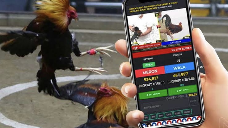 ssbet77 sabong